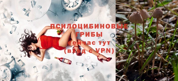a pvp Беломорск