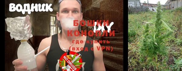 дмт Белокуриха